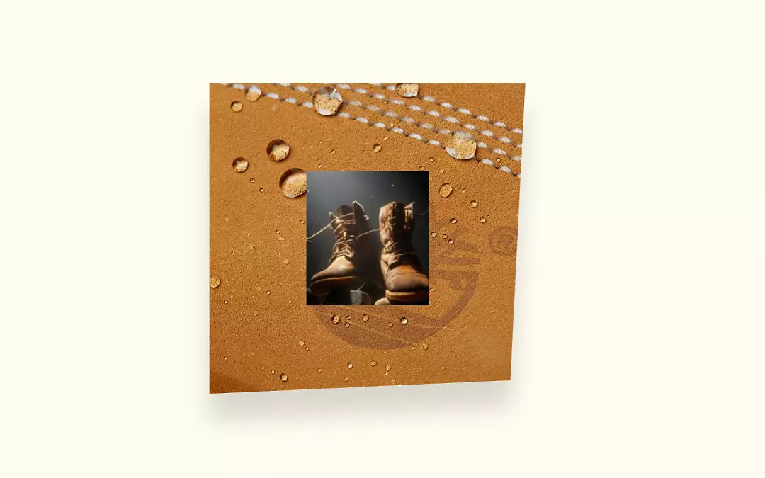 Pasted Image