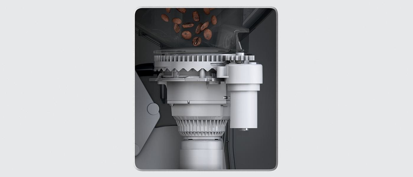 Pasted Image